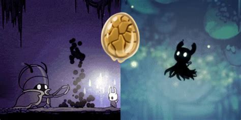 It can be traded with merchants in exchange for geo. . Rancid egg hollow knight